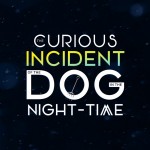 The Curious Incident of the Dog