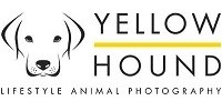 Yellow Hound