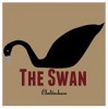 The Swan
