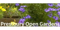 Prestbury Open Gardens