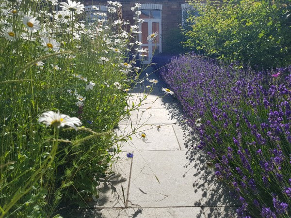 Wild Edge Garden Design by Emma Reuvers