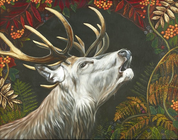 Call of the Wild - Art exhibition by Anita Saunders