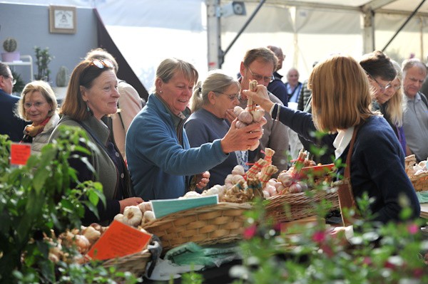 Malvern Autumn Show 2023