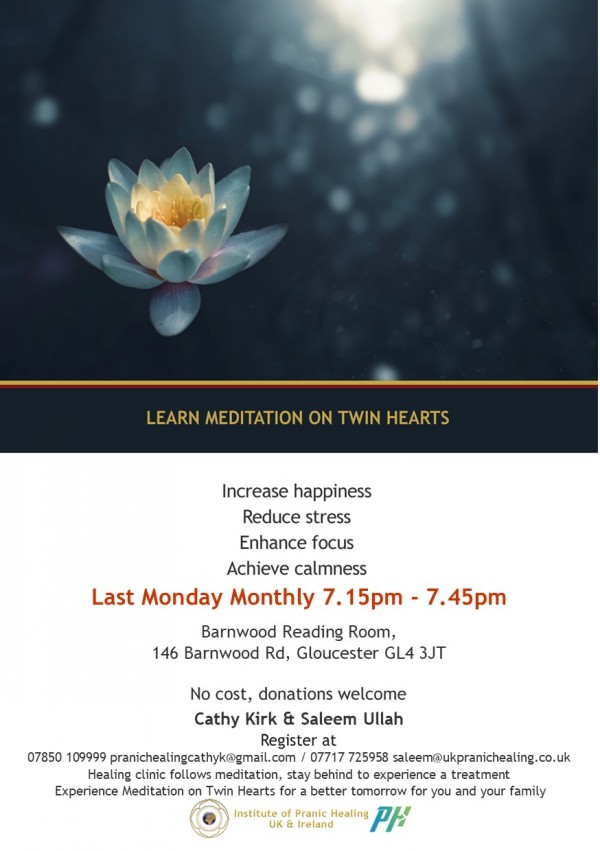 Pranic Healing & Twin Hearts Meditation