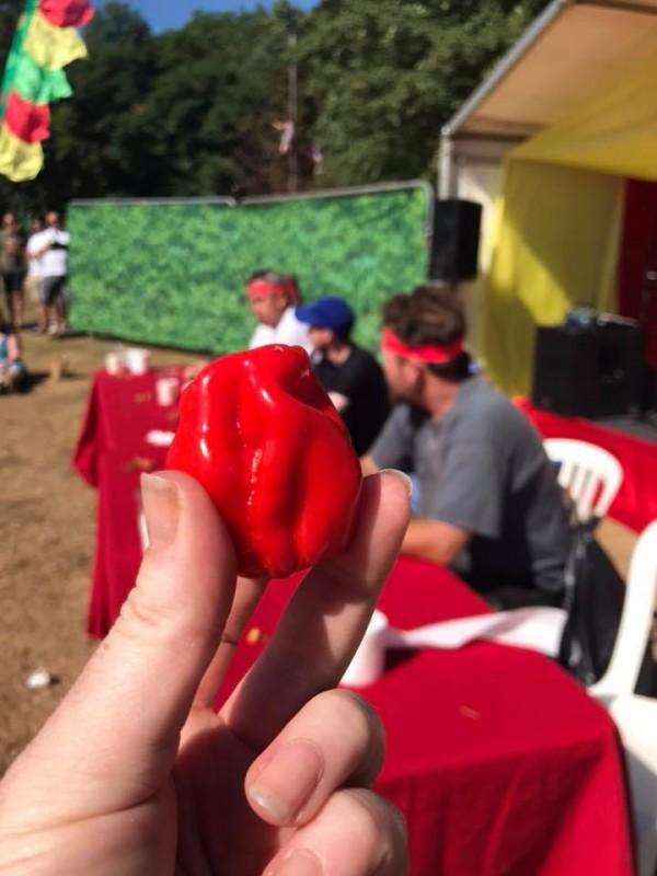 The Cheese and Chilli Festival - Make it hot, hot, hot!!`