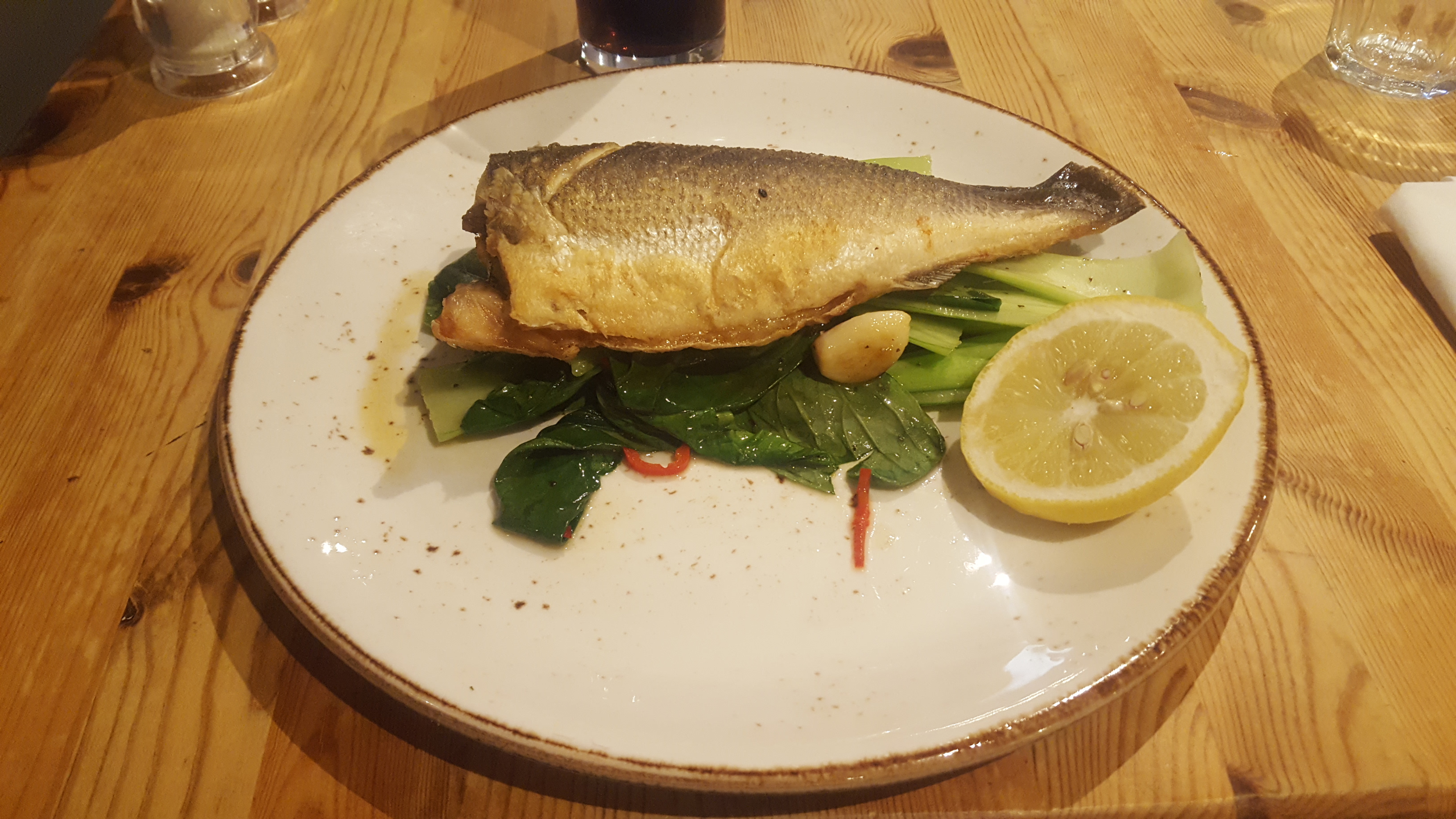 glos.info the ragged cot review4