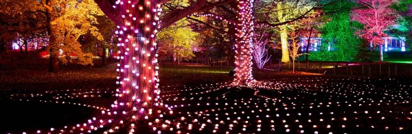 Christmas at Westonbirt