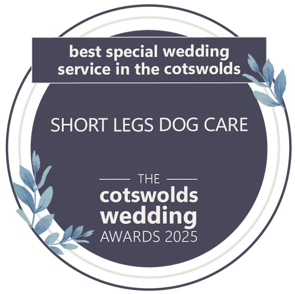 Short Legs Wedding Day Dog Care