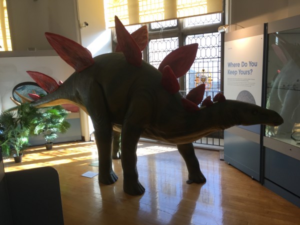 stegasaurus-gloucester