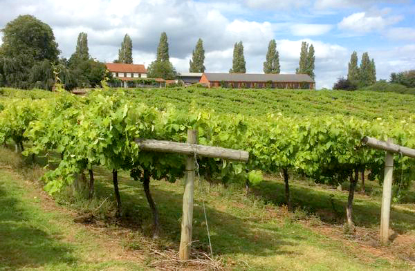 three choirs vineyard newent wine