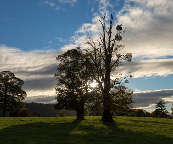 uley sunshine gloucestershire