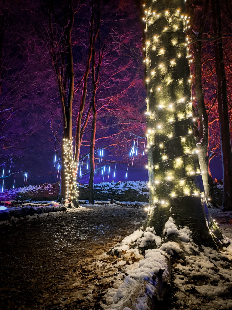 Enchanted Light Trail at Cotswold Farm Park