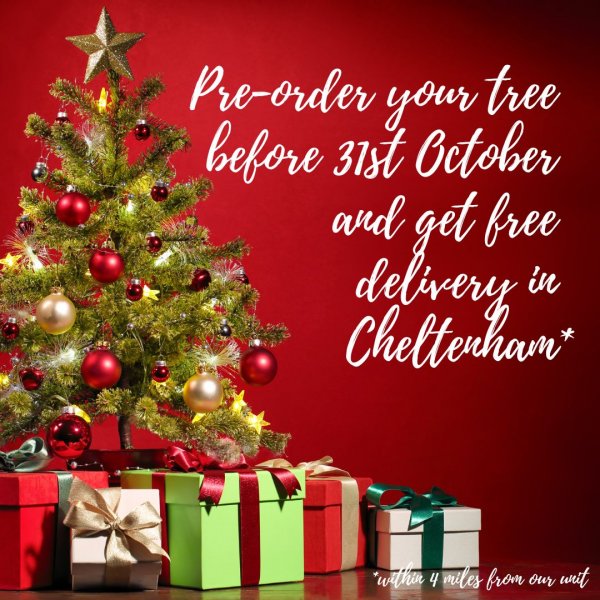 Preorder before 31st October and get your Christmas tree for free!