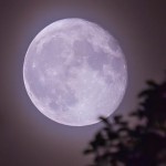 Full Rising Moon - October 2015 - photo