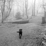 Highnam Wood in Winter