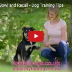 Dog Training Video - Bowl & Recall - Joyful Dogs