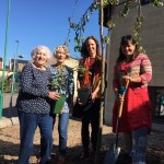 NEWS: A new woodland for all could be planted in Stroud