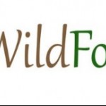 Review: Wild Food UK