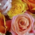 OPEN FOR BUSINESS - Make Their Day - Florist Cheltenham