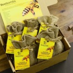LAST CHANCE TO ENTER COMPETITION: WIN a box of 5 Native Wildflower Beebombs - worth £29.99