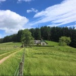 Scotland Highland Cottage - A holiday cottage in the highlands.