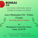 Bonsai Chi Tewkesbury Classes - Exercise for All