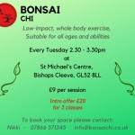 Bonsai Chi Bishops Cleeve Classes - Exercise for All