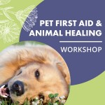 Pet First Aid and Holistic Animal Healing 1 Day Workshop