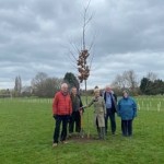 Tree planting to honour the Queen’s Platinum Jubilee