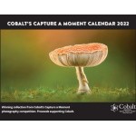 Photography Competition - Winners to be featured in Cobalt’s 2023 calendar
