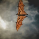 Bring Back Bats