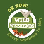 May’s Wild Weekends