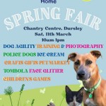 Cotswolds Dogs & Cats Home Spring Fair