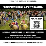 Sheep and Pony Racing 23