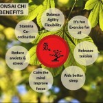 Bonsai Chi Exercise Classes at Bishops Cleeve