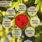 Bonsai Chi - Want to improve your fitness but don’t want to go to the gym? 