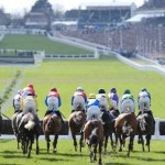 Join Sue Ryder for a thrilling day at the races