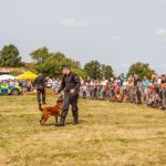 Teckels Summer Fair & Dog Show