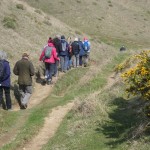 Cleeve Common Autumn Bird Life Tour