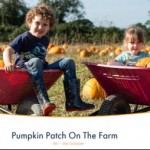 Pumpkin Patch On The Farm