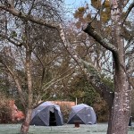 Enclave Outdoor Sauna to open to the public on 2nd February - Bookings now open