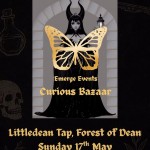 Curious Bazaar - Littledean Tap, Forest of Dean