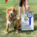 Fun Dog Show at Cheltenham Food & Drink Festival