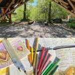 Nature Journaling Workshops at Westonbirt Arboretum