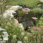 National Garden Scheme open gardens for charity