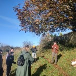 Wild Medicine Walk