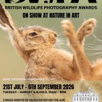 British Wildlife Photography Awards