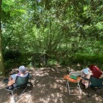 Nature Journaling Workshop