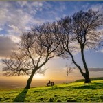 Waiting For The Light - Artist Photographer, Martin Fry FRPS 