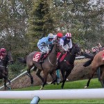 The Cheltenham & Three Counties Race Club's Tribute Night to David Nicholson (the...